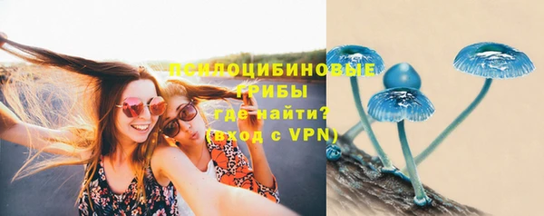 спиды Алексеевка