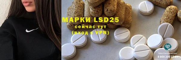 ПСИЛОЦИБИНОВЫЕ ГРИБЫ Абаза