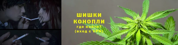 ПСИЛОЦИБИНОВЫЕ ГРИБЫ Абаза