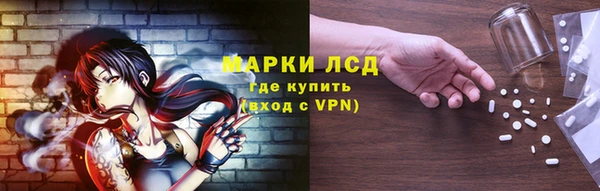 ПСИЛОЦИБИНОВЫЕ ГРИБЫ Абаза