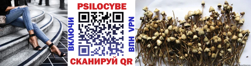 купить  сайты  мега как войти  Псилоцибиновые грибы прущие грибы  Волоколамск 