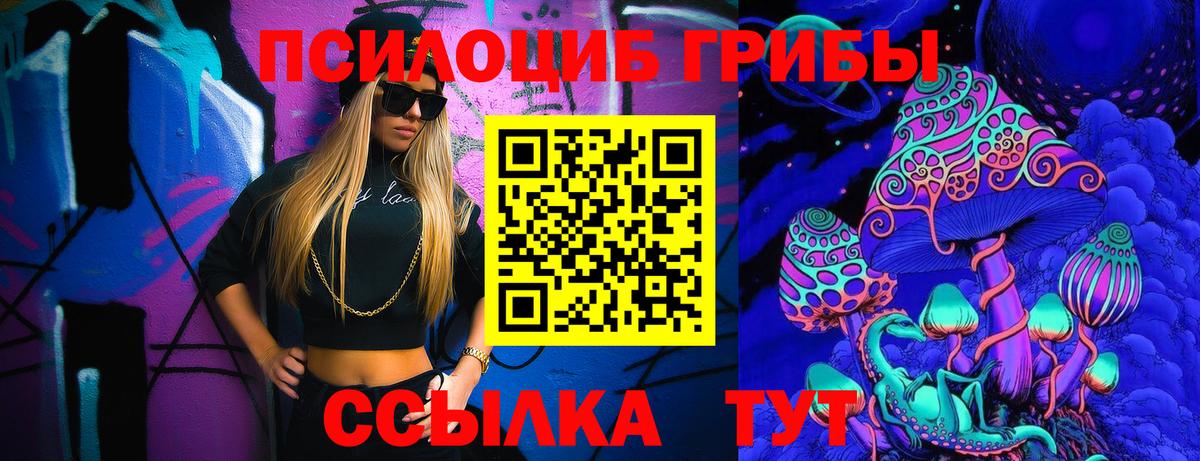 где найти наркотики  Вход с VPN  Волоколамск  Галлюциногенные грибы Magic Shrooms 