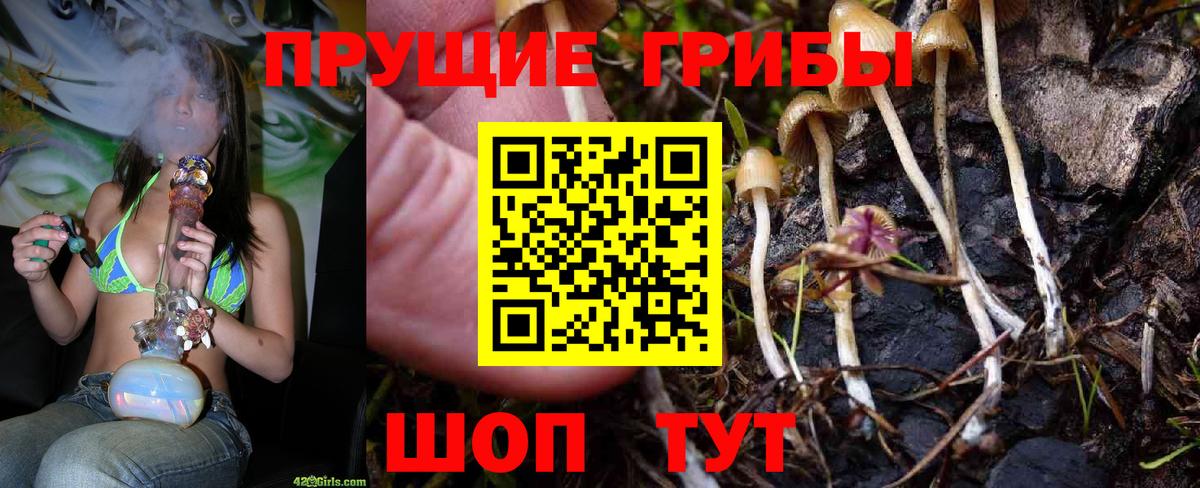 Псилоцибиновые грибы MAGIC MUSHROOMS Волоколамск